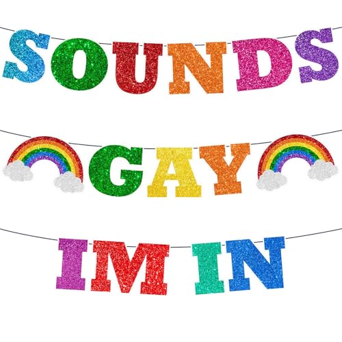 3 Pcs Happy Pride Party Decorations Hanging Bunting Banner Love Heart Rainbow Lgbtq Bunting Garland For Gay Pride Day Celebration Party Backdrop Decor Pride Accessories