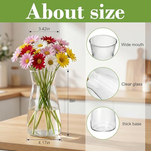 8 inch Flower Vase,Set of 2 Glass Vases for Flowers,Clear Glass Flower Vase for Centerpieces Table,Flower Bouquet Decoration,Wedding Decor Gift,Birthday,Living Room,Dining Table - Image 3