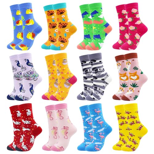 GLCMXMART Animal Socks Snail Chafer Beetle Peacock Raccoon Seahorse Zebra Flamingo Crab Gifts for Women Girl Ladies