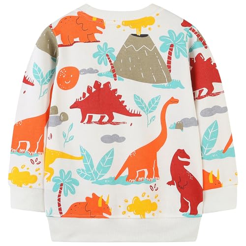 Image of AIWUHE Toddler Cotton Sweatshirt Boys Girls Pullover Long Sleeve Tops 2-6Y