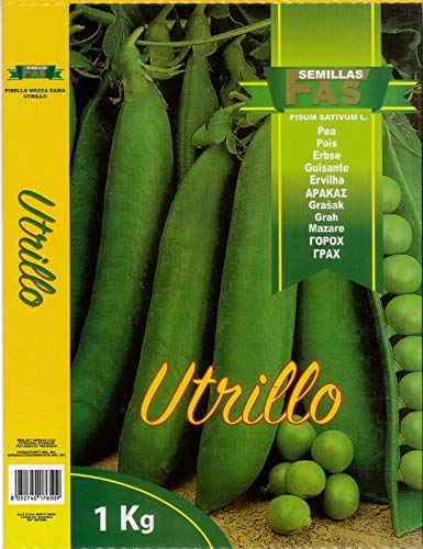 OFFERTA! 3 SCATOLE DA KG 1 PISELLO DA SEMINA UTRILLO FAS