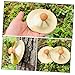 IMIKEYA 6 Pcs Safe Metal Finger Cymbals with Wooden Handles Portable Musical Instrument for Adults for Belly Dancing and Orff Music Activities