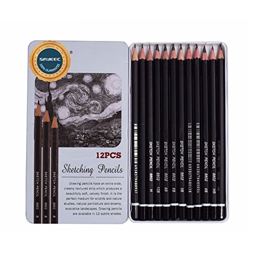 12u00a0crayons à dessin SAYEEC de bois et de graphite pour esquisse à lu0092étain, 10B-3H (3H,2,H,H,HB,B,2B,3B,4B,5B,6B,8B,10B)