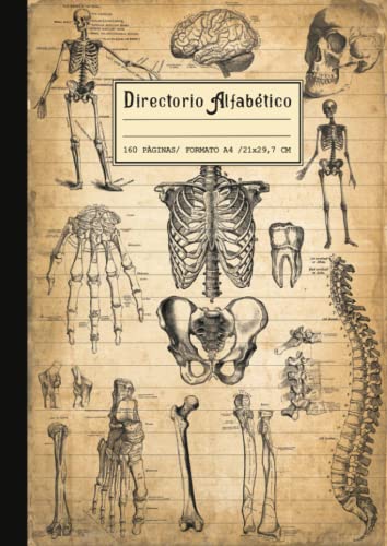 Cuaderno Directorio Alfabético: Gran formato A4: 21x29,7 cm con marcas para cada letra, 160 páginas de líneas. Bonita cubierta Retro & Vintage de Anatomía Antigua, tema regalo médico y cuerpo humano