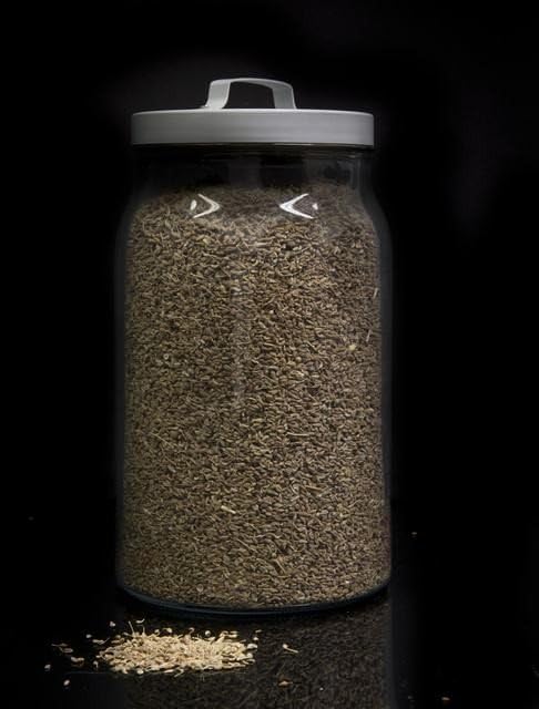 Hinojo Semillas a Granel 1000g - Especias Naturales para Cocina Saludable
