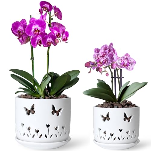 Thriving Thicket 2 Pack, 5 + 6 Inch White Orchid Pots with Butterflies and Tulips Holes and Saucer, Ceramic Orchid Planters for Repotting with Drainage Holes and Tray Indoor Outdoor, Butterfly Gift by Thriving Thicket - Used condition - US$25.61
