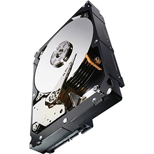Image of Seagate 1TB Enterprise Capacity HDD SATA 6Gb /s 128MB Cache 3.5-Inch Internal Bare Drive (ST1000NM0033),black