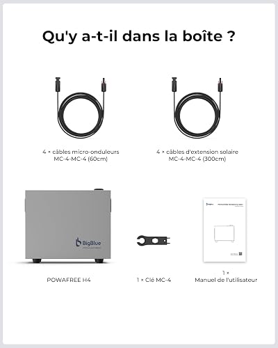 BigBlue Powafree Batterie de 2048Wh pour kit Solaire, Batterie LFP 2 MPPT avec Entrée Solaire 800W, Fonctionne à -20 °C & Étanche IPX4, 2 in 1Système de Stockage Solaire avec Contrôle Intelligent - 9