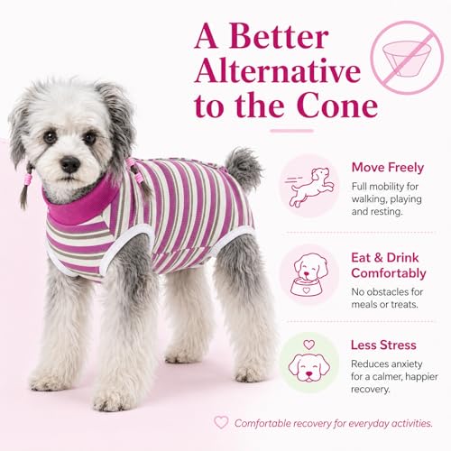 Image of Dog Surgery Recovery Suits, Sleeveless Dog Recovery Suit Female, E-Collar & Cone Alternative Surgical Suit for Small and Medium Dogs After Surgery, Striped Dog Onesie Pajamas