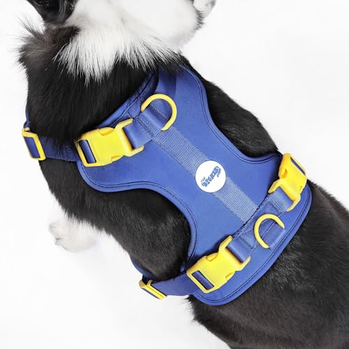 THE LICKER Store HNS1003C Arlo Large Adjustable Soft Padded No Pull Pet Harness with 3 Buckles and 3 Leash Clips, Curaçao by THE LICKER STORE - Image 7