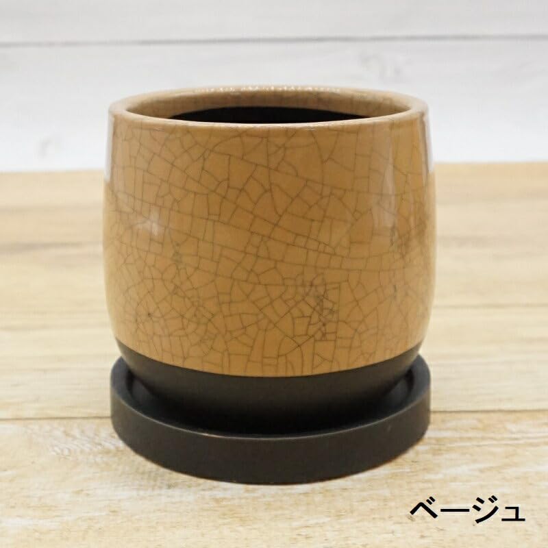 陶器 緑と茶色 美濃焼 日本製 翠 Sui 丸碗 翠うぐいす 288046 おしゃれ マルチ