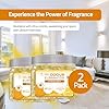 Strong Gel Air Freshener | (Pack of 2) Citrus Zest Fresheners for Home, Bathrooms, and Cars | Lasts 90 Days for Improved Home Fragrance | Essential Oil Odour Eliminator Gel by Perfa #2
