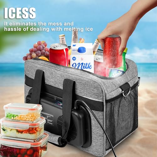 Image of Electric Cooler Bag, Portable Electric Cooler, Foldable Heater Bag, Powered 12 Volt AC /DC Compatible, for Cooling Pre-Cooled Food & Drinks