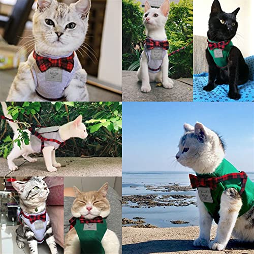 Ensemble de laisses harnais pour chat vert ajustable taille M