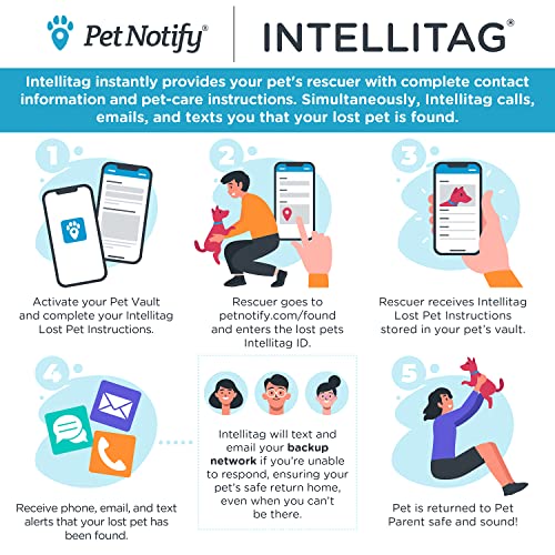 Intellitag - Smart Pet ID Tag Recovery System - Personalized Stainless Steel Tag with Digital ID & App for Small Dogs - Thumbnail 3