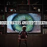 tisch eiche massiv ölen  Amused to Death [Vinyl LP]