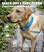 TagME Nylon Hundehalsband, Verstellbares Reflektierendes Hundehalsband mit Sicherheitsschnalle für Kleiner Hund, Grau, 2.0cm Breite