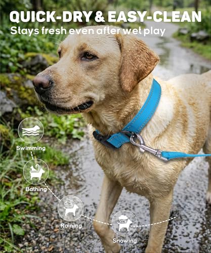 TagME Nylon Hundehalsband, Verstellbares Reflektierendes Hundehalsband mit Sicherheitsschnalle für Kleiner Hund, Grau, 2.0cm Breite