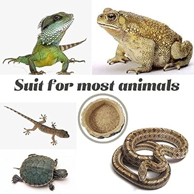 feeder frogs for snakes