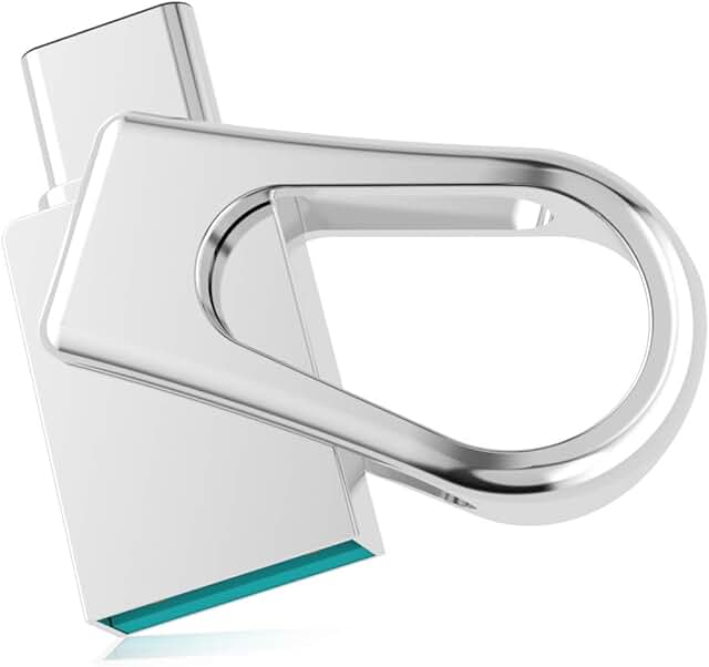 Tipo C Memoria USB 64GB, RAOYI Metal Mini Pendrive 3.0 OTG 2 en 1 Flash Drive USB Impermeable de Alta Velocidad, USB 64GB Tipo C para Móviles, MacBook, Tablet, Huawei, Xiaomi, Samsung, Plata