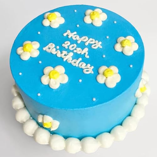 GXLBX  ؍̃fUCP[L ZCP[L 4i3lj aP[L P[LifUC-08j