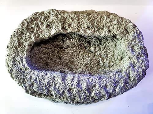 Image of Clam & Anemone Cradle - Holds Clams UP! - USA Reef Aquatics (Natural Gray)