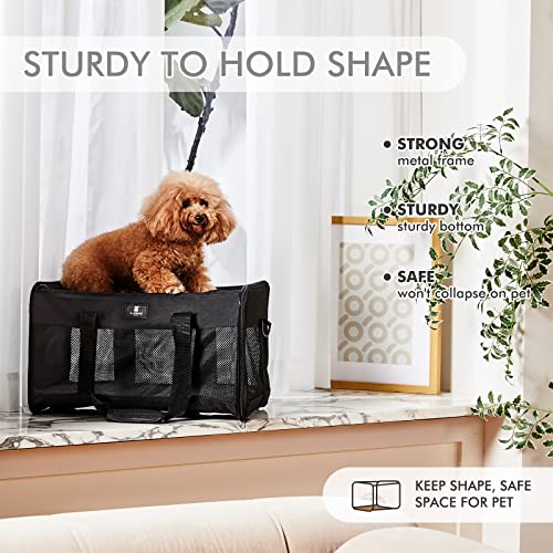 X-Zone Pet Cat Carrier Dog Carrier Pet Carrier For Small Medium Cats Dogs Puppies Of 15 Lbs,Airline Approved Soft Sided Pet Travel Carrier,Dog Carriers For Small Dogs - Black Grey Purple Blue Brown #TOP5
