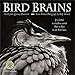 Bird Brains 2020 Wall Calendar: Truths from Literary Humorists and Avian Portrait Photography