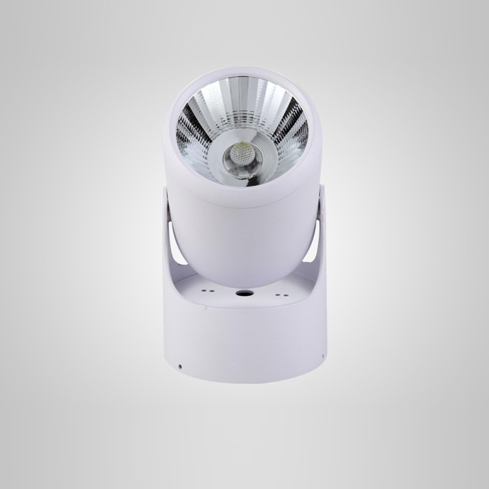 LED COB Living Room Corridor Spot Lights 360 Degrees Freely rotatable Painting Back Ceiling Lamp Semi-Flush Mounted Downlight (Small-White)