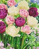 Blumenhandel Ullrich