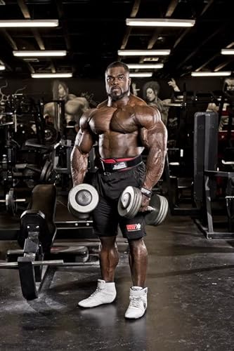 Schiek Sports 2004 Lifting Belt - 4.75" Inch Lower Back Support For Power Lifting - Heavy Duty One Way Buckle System #TOP5