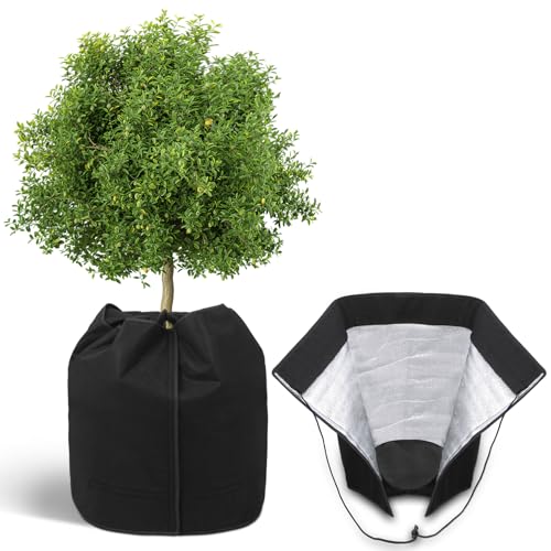 COVACURE Pflanzenschutz Winter – Winterschutz für Kübelpflanzen 45×50...