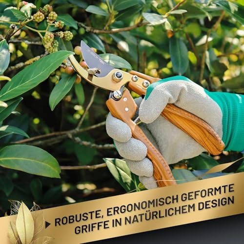 GRÜNTEK Premium Gartenscheren Set Bypass 210 mm mit Echtleder-Holster, Black Forest Edition, Geschenk Idee, Antihaft-beschichtete Präzisionsklinge, Titan-beschichtet, Ergo-Griff in Natur Holz-Design