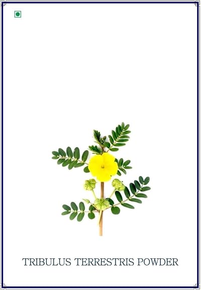 MK Tribulus terrestris powder 100 g