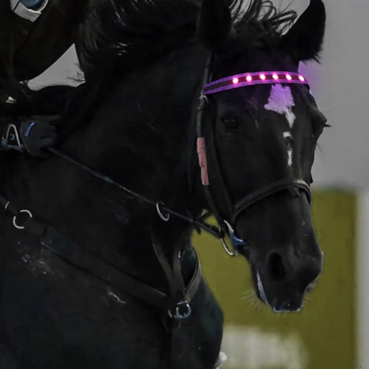 QQY Horse Headband LED Horse Breastplate Collar LED Strip Visibility Tack Horse Head Strap Bandage Strap for Night Horse Riding Equestrian Competition Event (Pink)