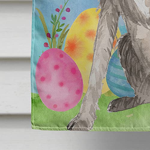 Drapeau Irish Wolfhound Caroline's Treasures pavillon grand format multicolore pour maison