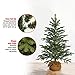 National Tree Company 'Feel Real' Artificial Mini Christmas Tree | Includes Cloth Bag Base | Norwegian Seedling - 3 ft