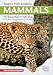 Stuarts' Field Guide to Mammals of Southern Africa: Including Angola, Zambia & Malawi
