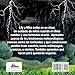 Leones, Leopardos Y Tormentas, ¡Que Cosa! (Spanish Edition): Un Libro de Seguridad de Tormentas