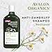 Avalon Organics All Natural Dandruff Therapy Shampoo, 11 Fl Oz