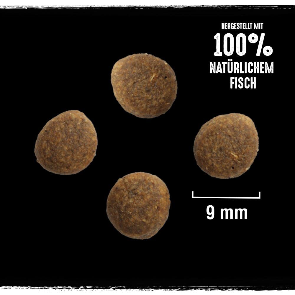Crave Premium Trockenfutter mit Lachs & Weißfisch für Katzen – Getreidefreies Adult Katzenfutter mit hohem Proteingehalt –3 x 2,8 kg