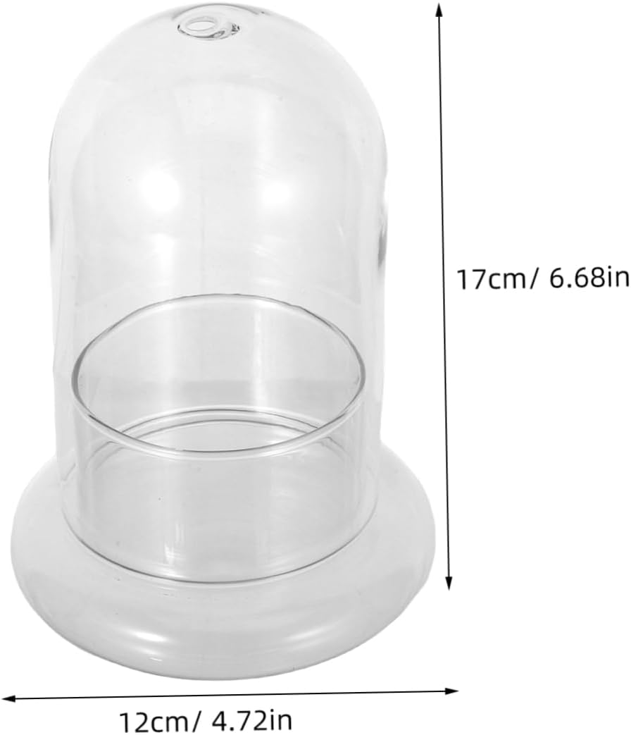 2pcs Micro Landscape Glass Bottle Terrarium Miniature Decoration for Home Tabletop and Garden Decor Durable Craftsmanship with Hole for DIY Moss and Plants