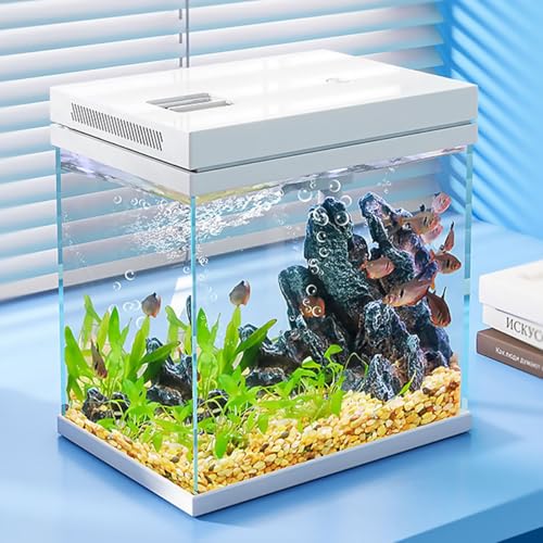 10L Nano Fischtank Aquarium mit LED-Leuchten & Filtersystem,Filtermedien, tropischeAquarien (10L)