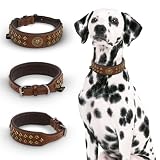 MICHUR Diego Braun 1. Wahl !! Hundehalsband Leder Lederhalsband Hund Halsband Löwenkopf Nieten Messing Optik Braun Gold
