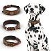 MICHUR Diego Braun 1. Wahl !! Hundehalsband Leder Lederhalsband Hund Halsband Löwenkopf Nieten Messing Optik Braun Gold