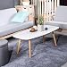 GreenForest Coffee Table Modern Oval Cocktail Center Table for Living Room in White Easy Assembly, 43.3"x19.6"x17.3"