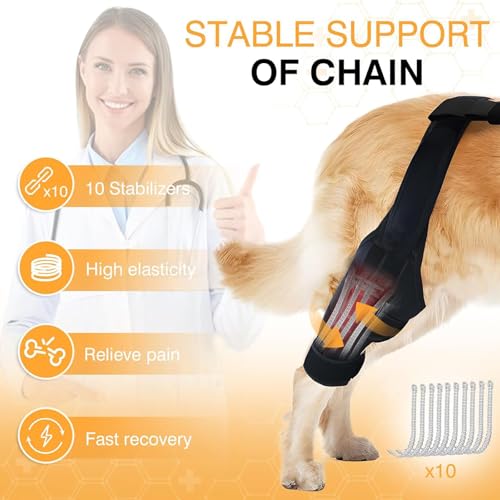 Attelle pour chien confort durable et stabilisation de la rotule