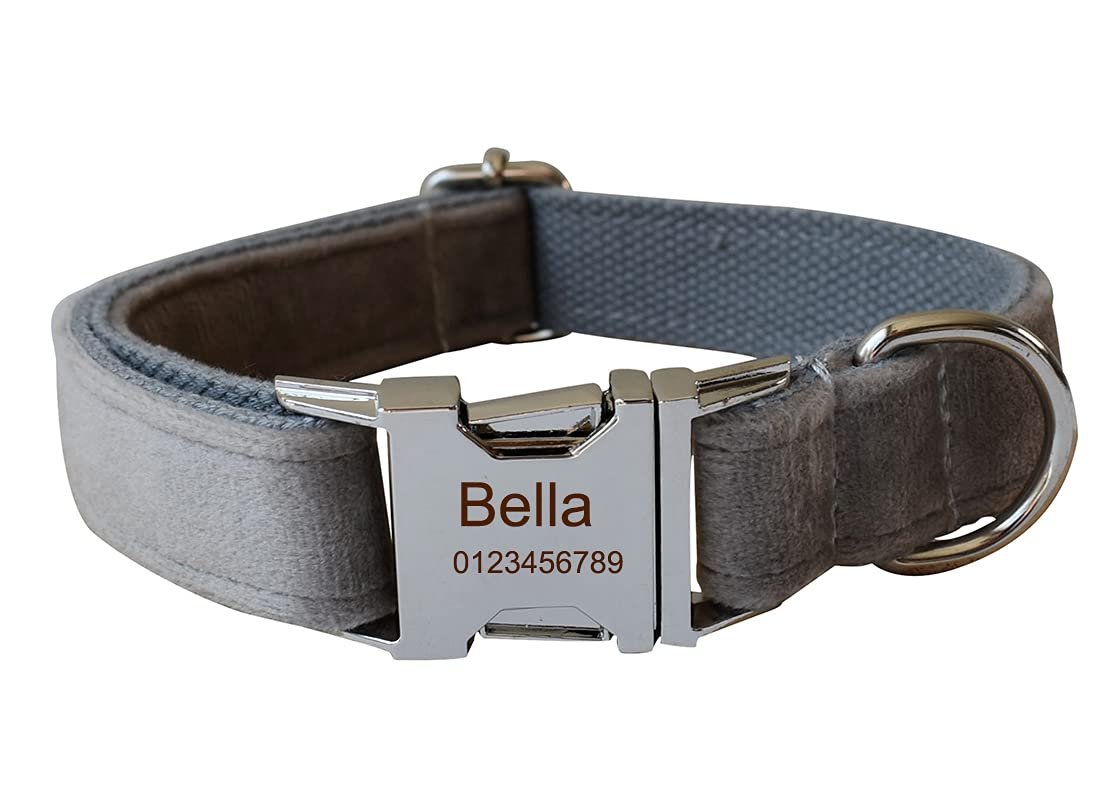 Dog Collar Custom Personalized Engraved Name and Phone Number for Puppy Small Medium Large Pets (M, Grey)