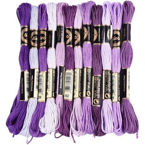 CABODYALS 12 matassa 6 fili Filo Da Ricamo Viola Poliestere Sfumato Braccialetto Dells'Amicizia Filo per Punto Croce Variegato colonneto Sfuso per Cucito A Mano Braccialetti Gioielli Artigianato Magli