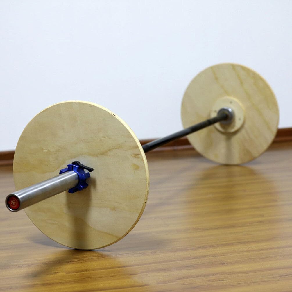 BESPORTBLE Rehabilitation Training Barbell Weight Bumper Gym Small Barbell Plate Strength Training Tool